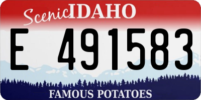 ID license plate E491583