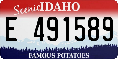 ID license plate E491589