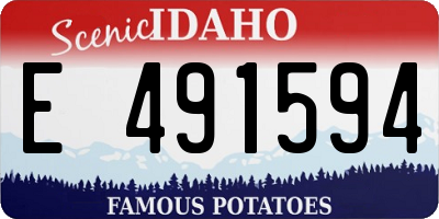 ID license plate E491594