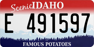 ID license plate E491597