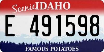 ID license plate E491598