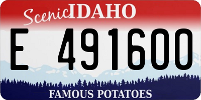 ID license plate E491600