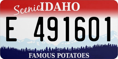 ID license plate E491601