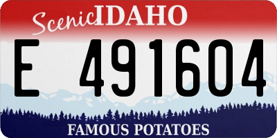 ID license plate E491604