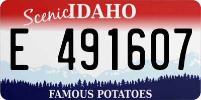 ID license plate E491607