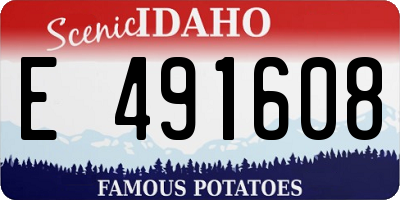 ID license plate E491608