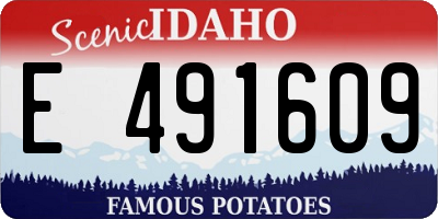 ID license plate E491609