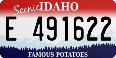 ID license plate E491622