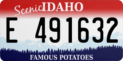 ID license plate E491632