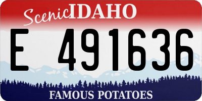 ID license plate E491636