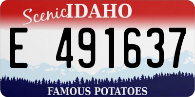 ID license plate E491637