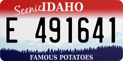 ID license plate E491641