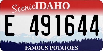 ID license plate E491644