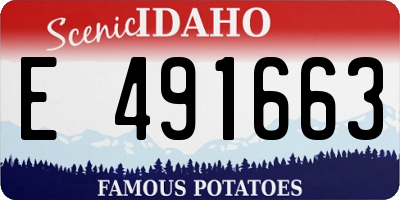 ID license plate E491663