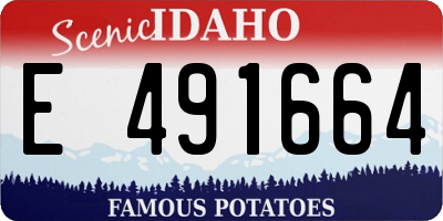 ID license plate E491664