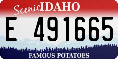 ID license plate E491665