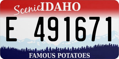 ID license plate E491671