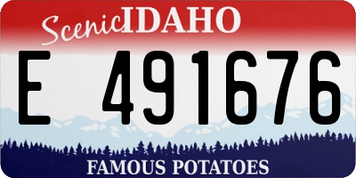 ID license plate E491676