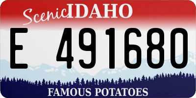ID license plate E491680
