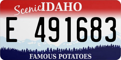 ID license plate E491683