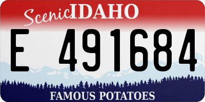 ID license plate E491684