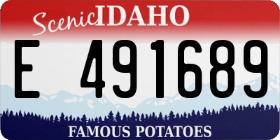 ID license plate E491689
