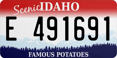 ID license plate E491691