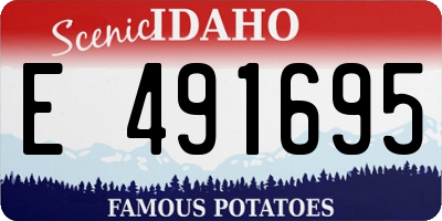 ID license plate E491695