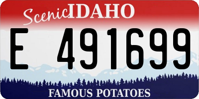 ID license plate E491699