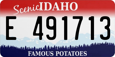 ID license plate E491713