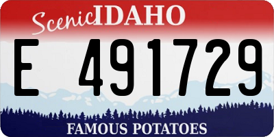 ID license plate E491729