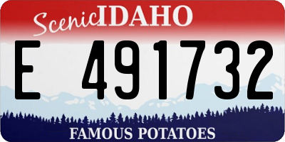 ID license plate E491732
