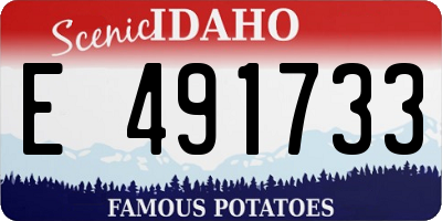 ID license plate E491733