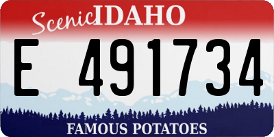 ID license plate E491734