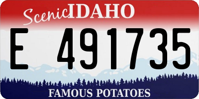 ID license plate E491735