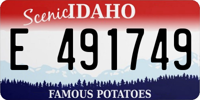 ID license plate E491749