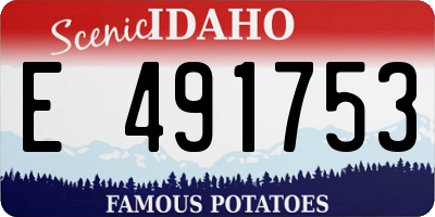 ID license plate E491753