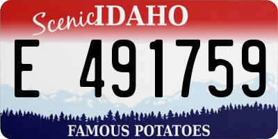ID license plate E491759