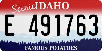 ID license plate E491763
