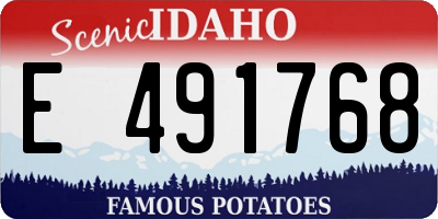 ID license plate E491768