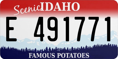 ID license plate E491771