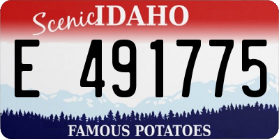 ID license plate E491775