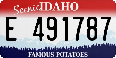 ID license plate E491787