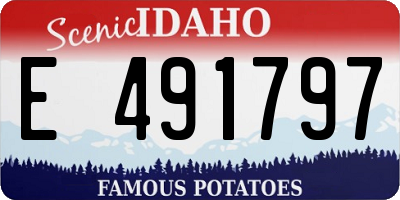ID license plate E491797