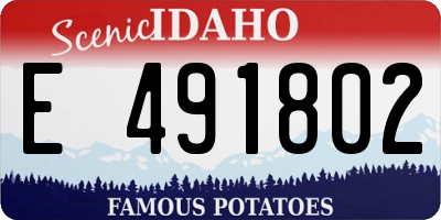 ID license plate E491802