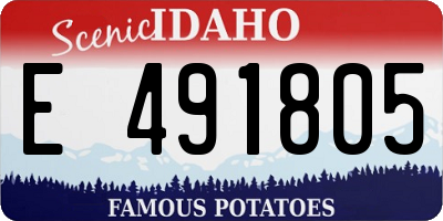 ID license plate E491805