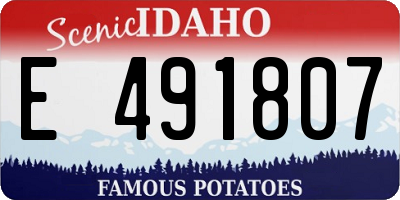 ID license plate E491807