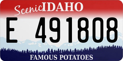ID license plate E491808