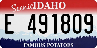 ID license plate E491809