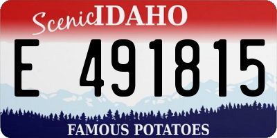 ID license plate E491815